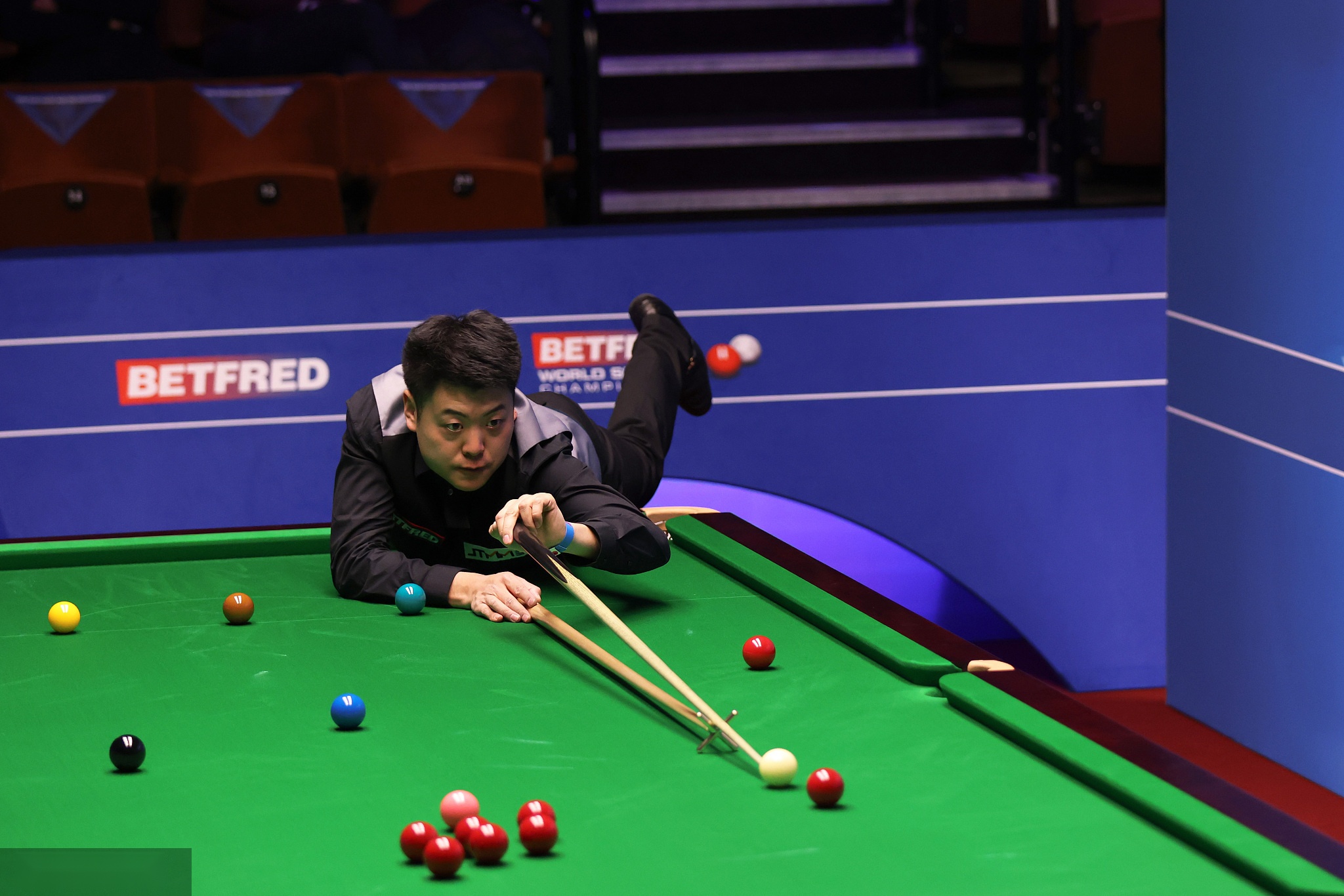 迷翘首以盼 迷翘首以盼